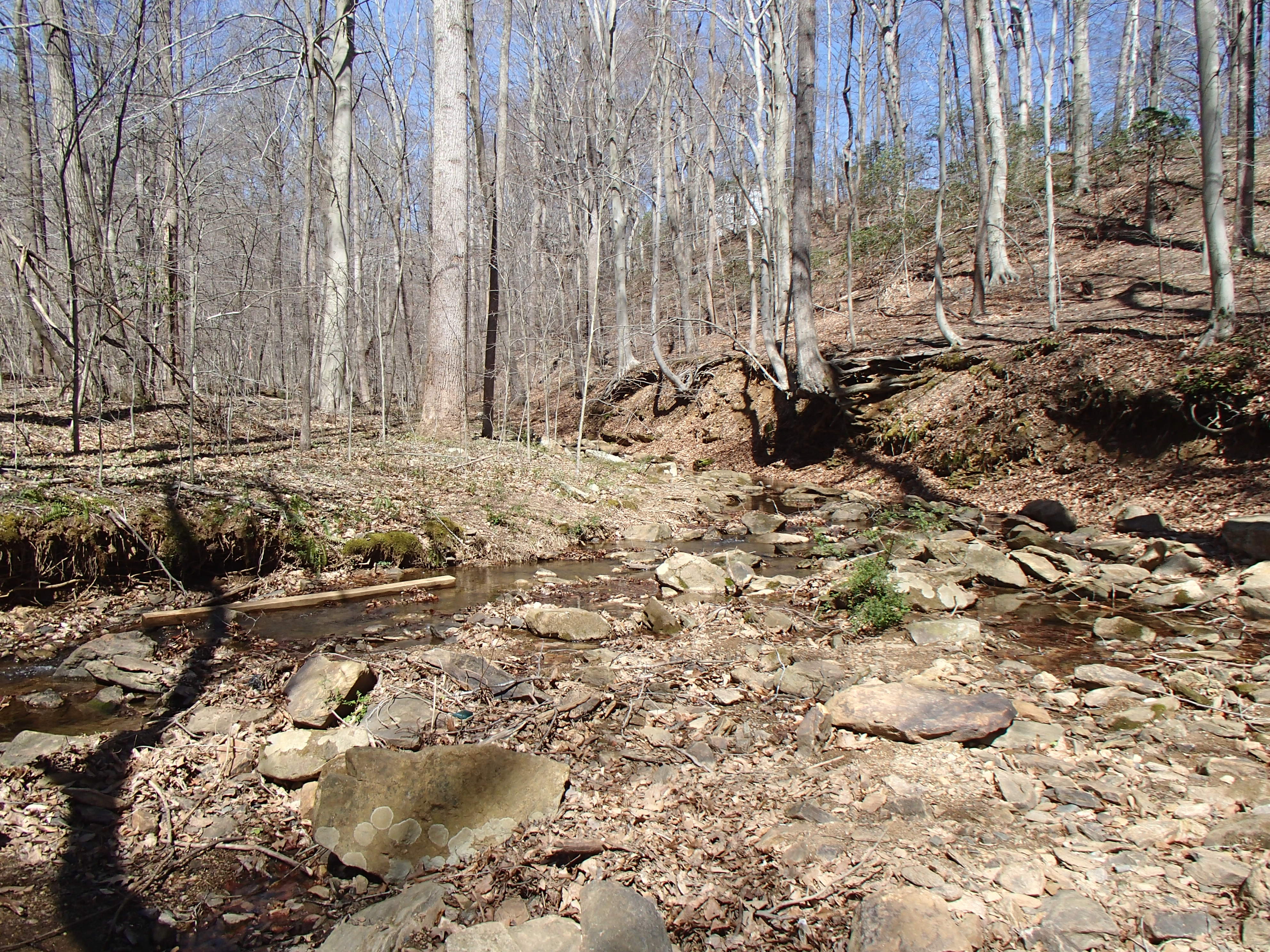 Field photo showing stream conditions at site LWIN-108-X-2016_Midpoint looking upstream